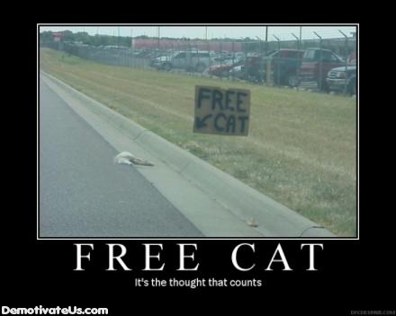 free cat demotivational poster1