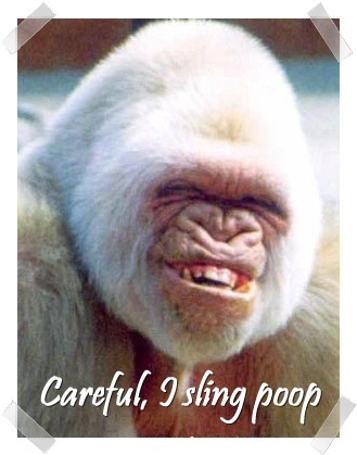 funny 100