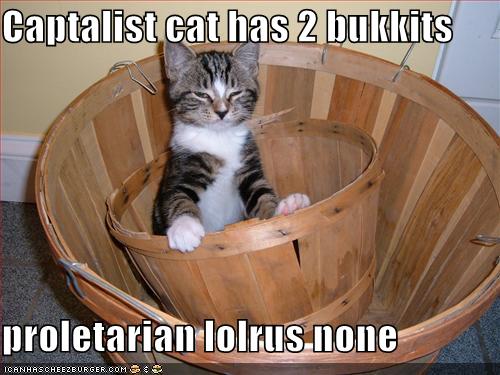 funny pictures capitalist cat has two buckets