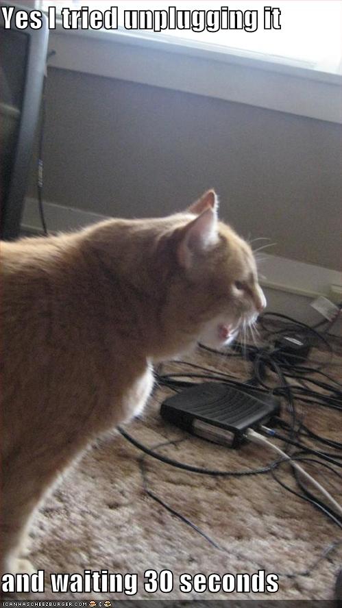 funny pictures cat cable modem