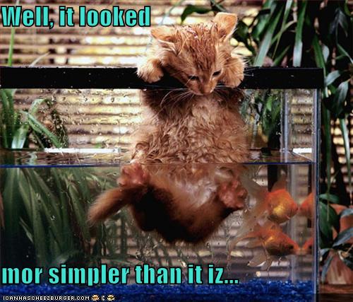 funny pictures cat is having trouble catching fish