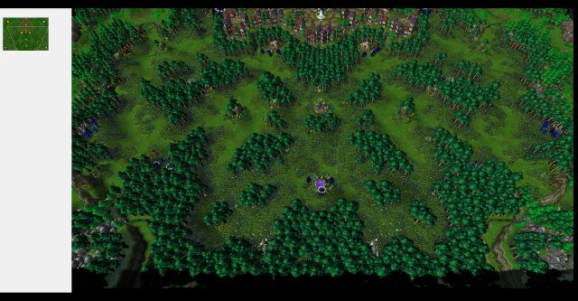 FVForest