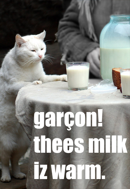 garcon mike