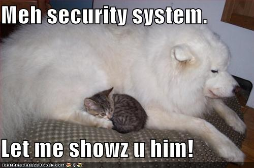 Gaurd Doggy