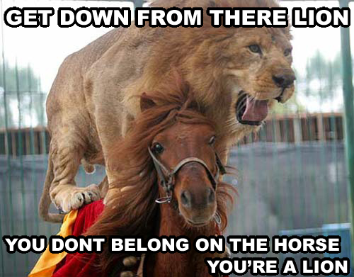 Get down lion, you look silly.