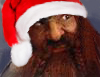 Gimli the elf