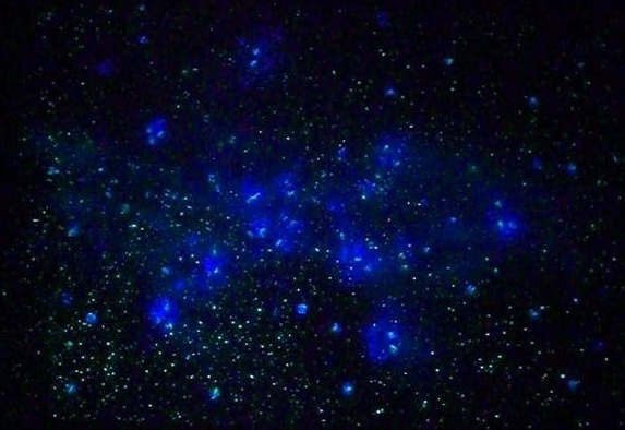 glow in the dark stars