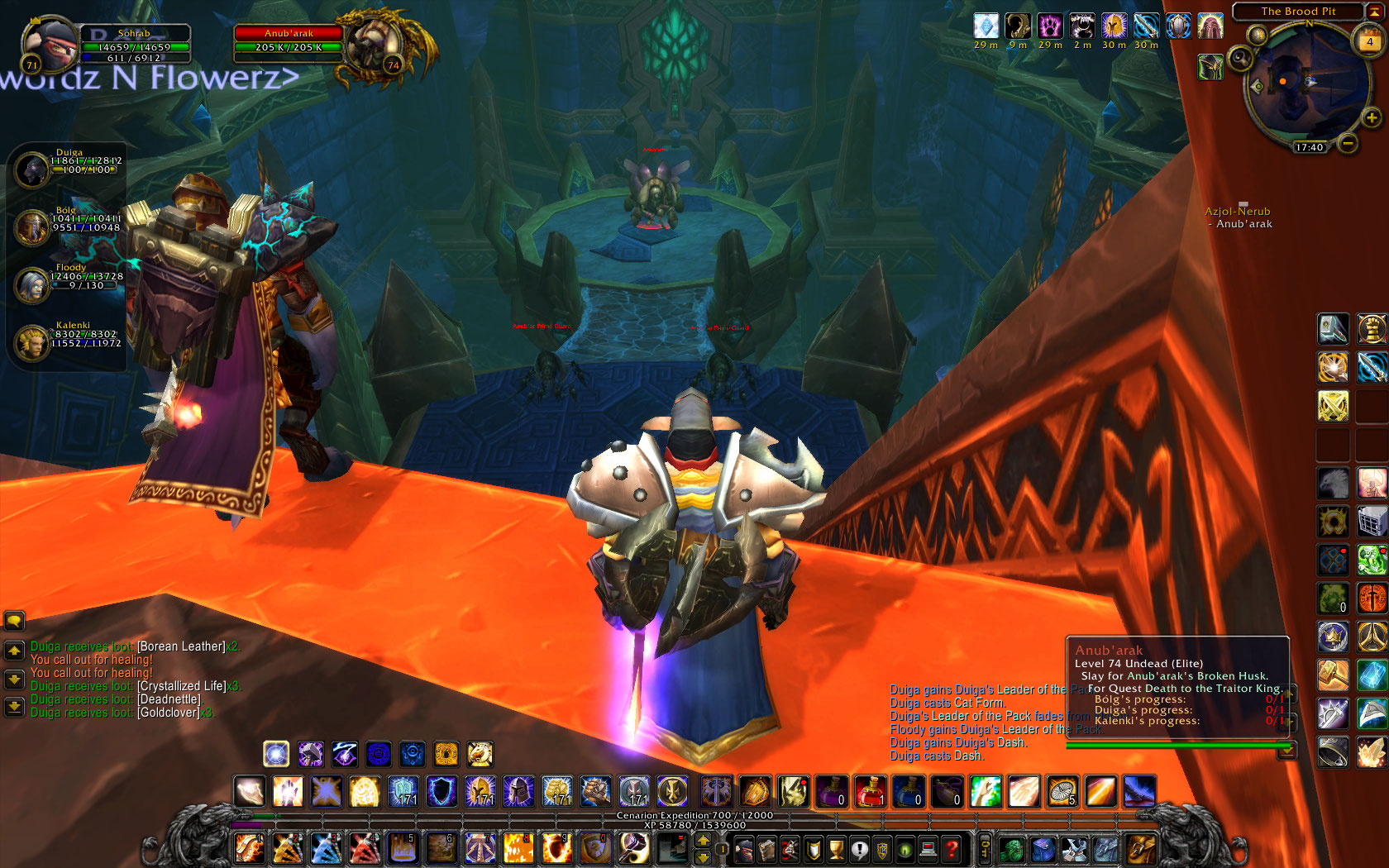 Going to battle Anub'arak, I'm the tank.