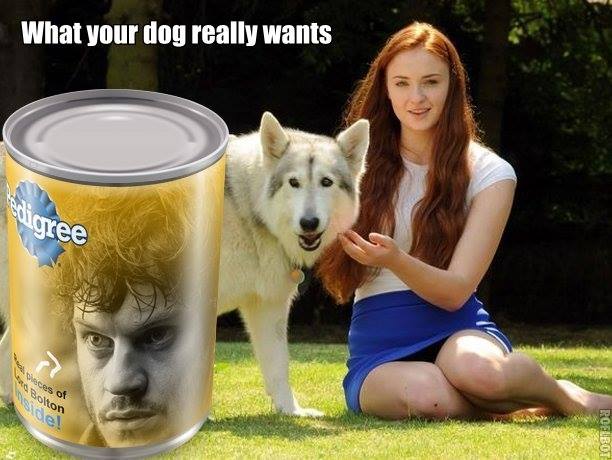 Got-memes-pedigree