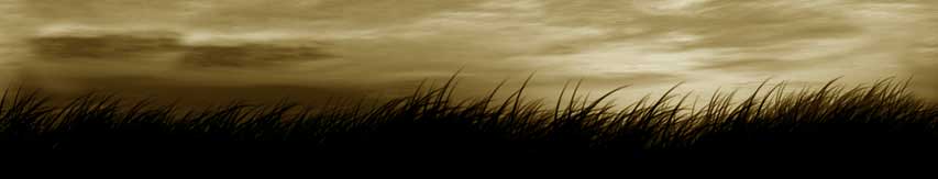 grass