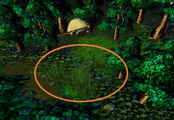 Grass