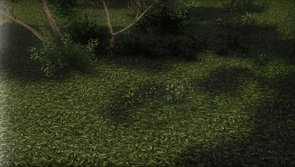 grass
