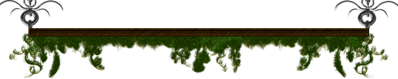 GrassTopBorder - Decorations stuff