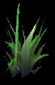 GrassTuft0