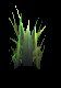 GrassTuft2
