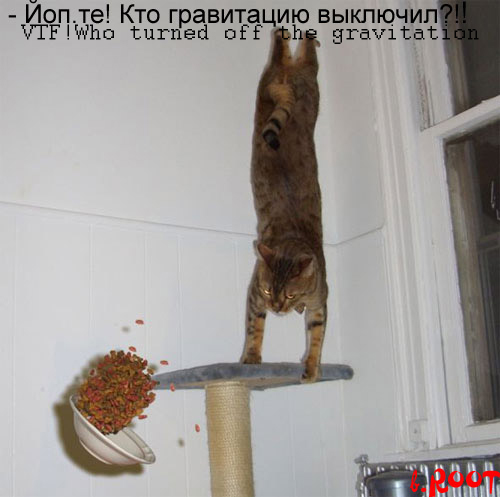 gravitation