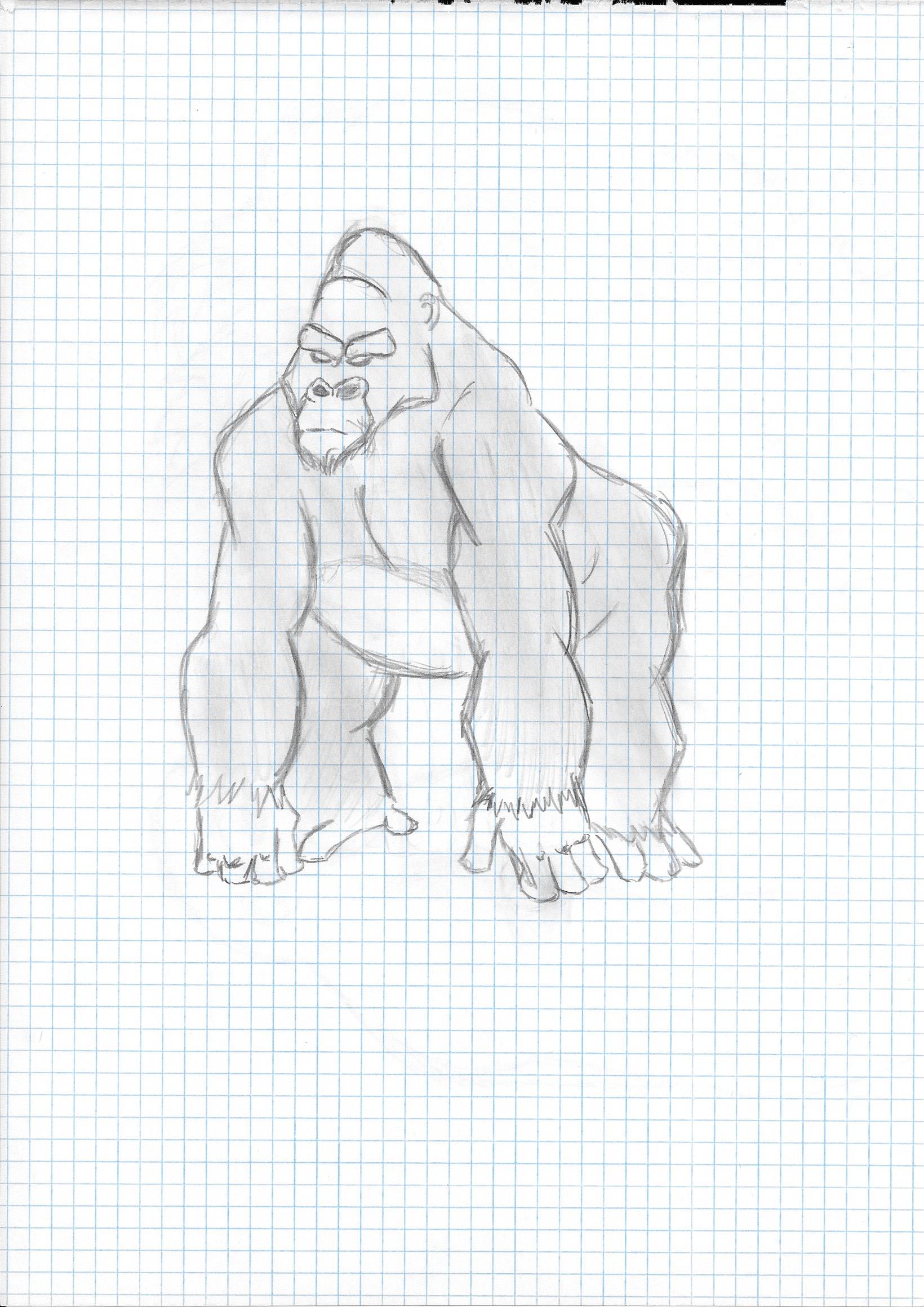 Guerilla