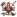 GWFa1