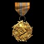 Heavy Ordnance Medal Achieved
Get one hundred kills with support actions.