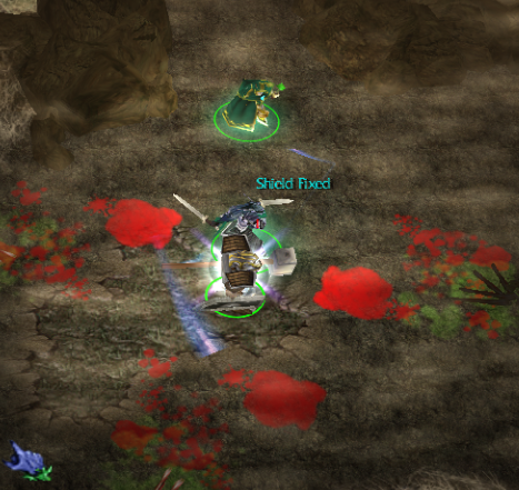 Here is a screenshot of Glainor's shield being fixed. Glainor uses his shield to prevent taking any damage to his hit points. His mana acts as his shi