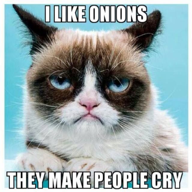 9 Best Grumpy Cat Memes