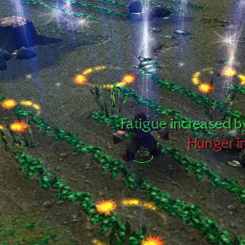 Hm Plants Fertilize