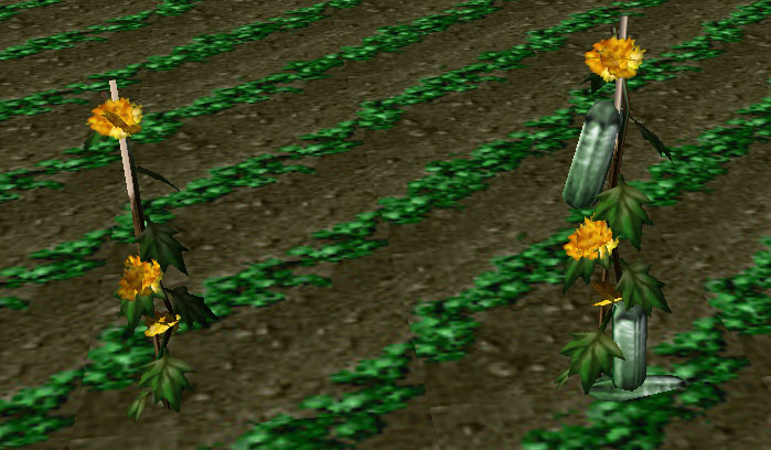 Hm Plants Grow