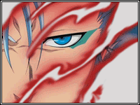 HollowIchigo vs. Grimmjow