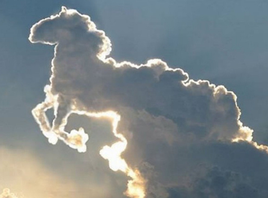 horse cloud