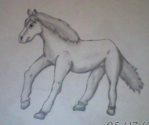 Horse