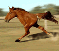 Horsemen