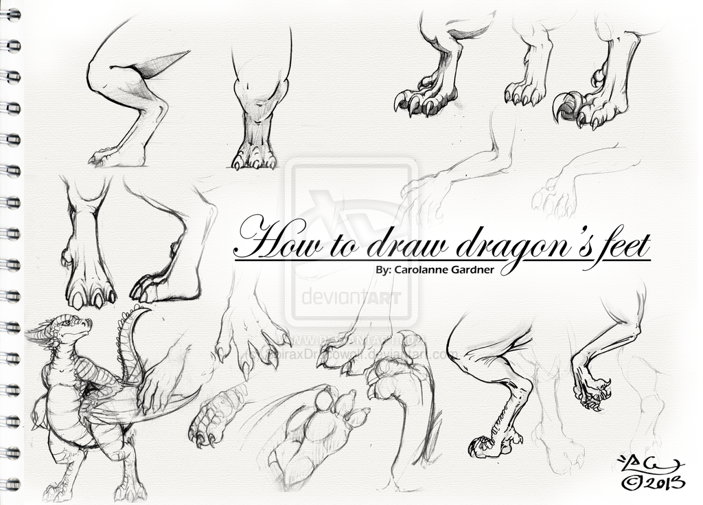 How To Draw Dragons 02