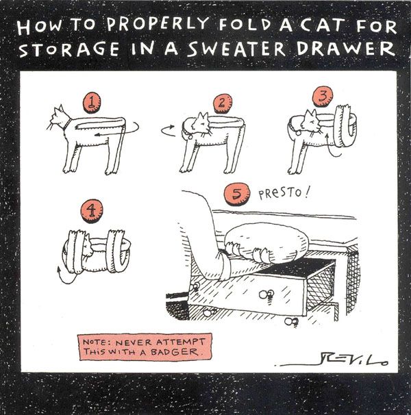 how to properly fold a cat