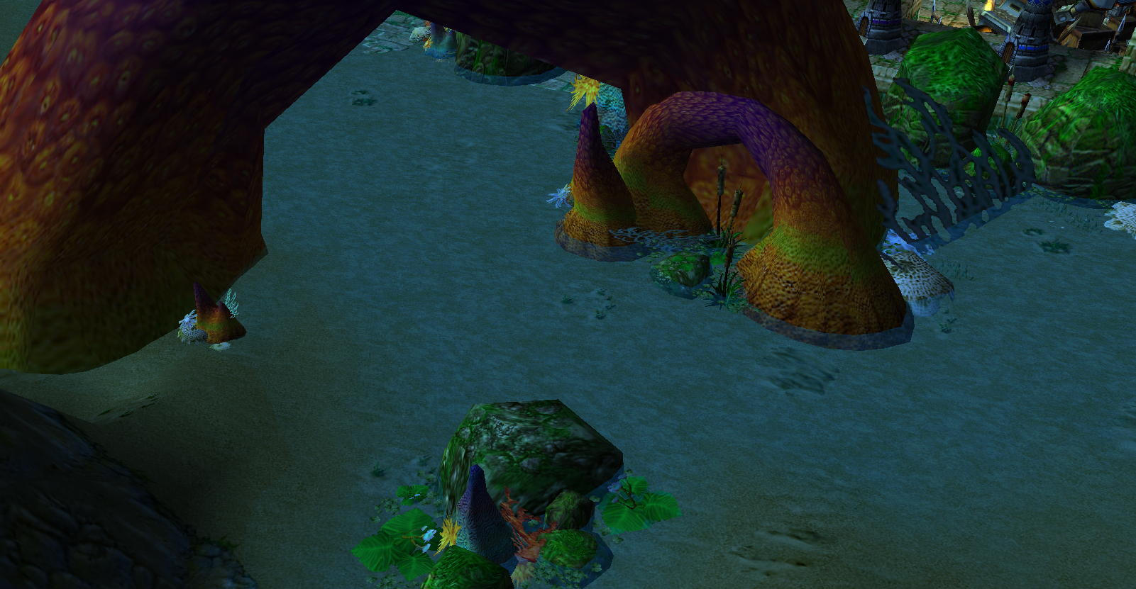 Huge Corals