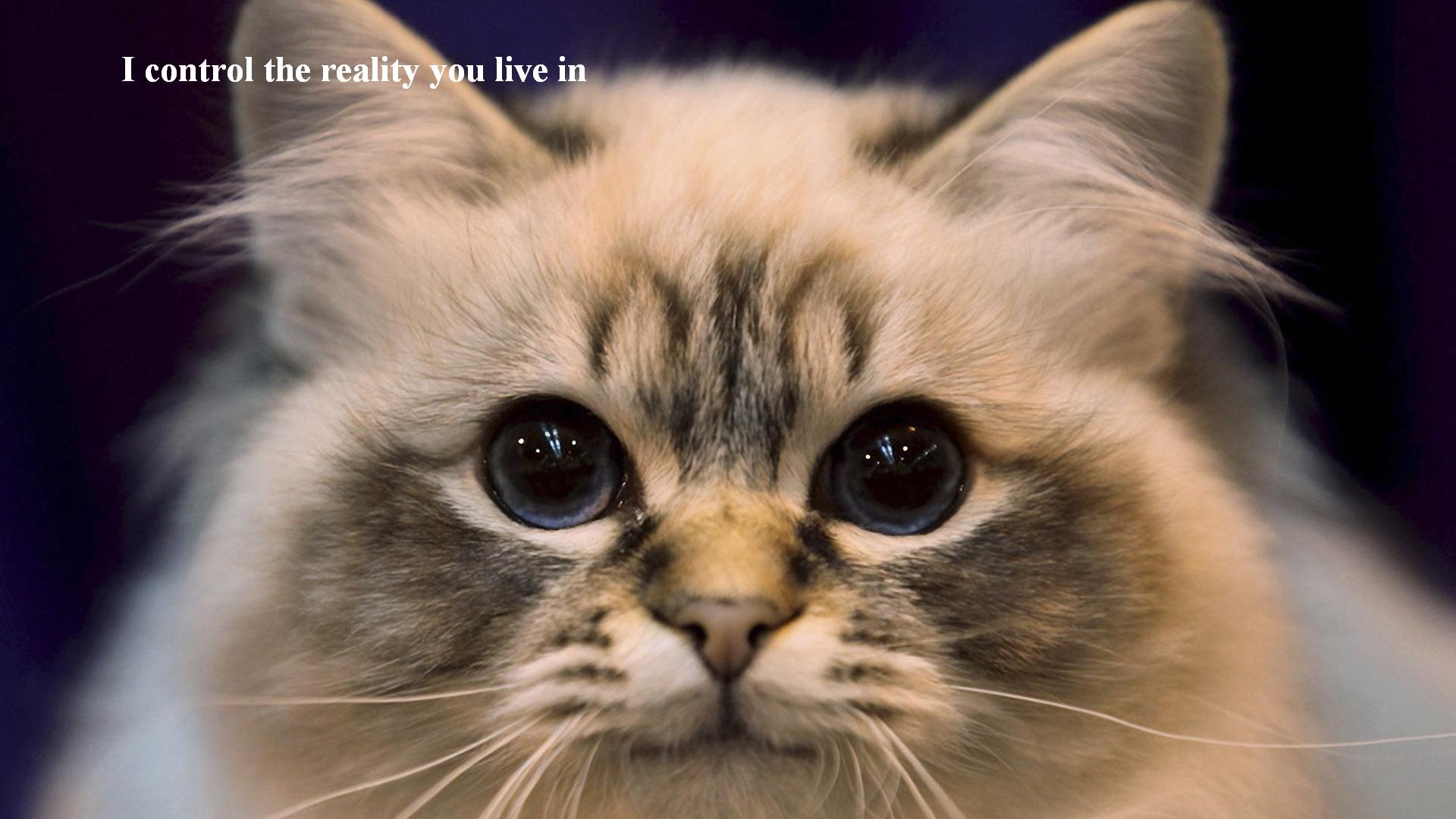 I control the reality you live in.
