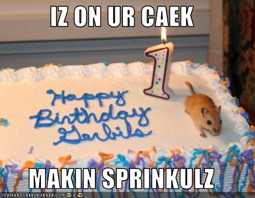I made you a cake, but then this happened...