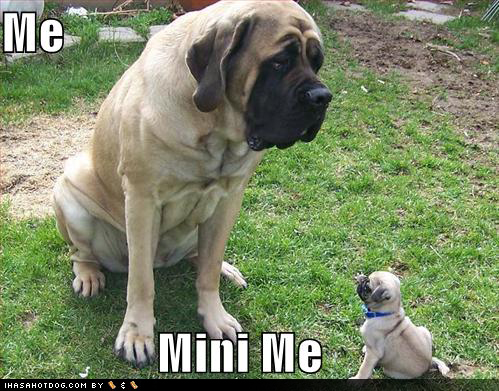 I shall call you...Mini me