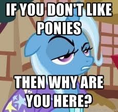 ifyoudontlikeponieswhyareyouhere