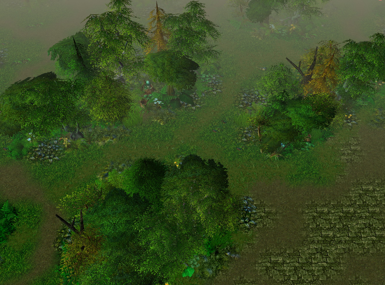 IID terrain40
