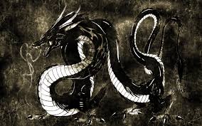 images (1)