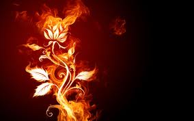 images (5)