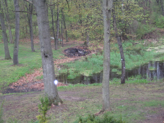 IMG 0245