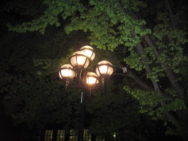 IMG 0254