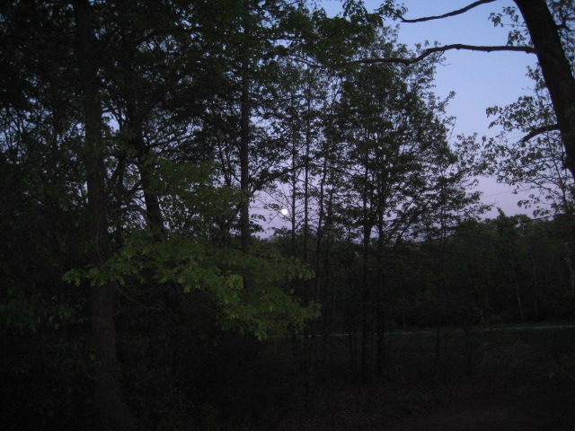 IMG 0278