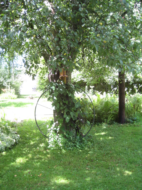 IMG 1510