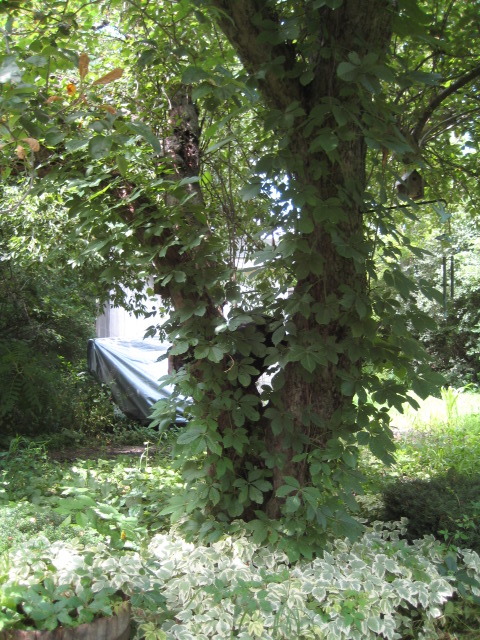 IMG 1512