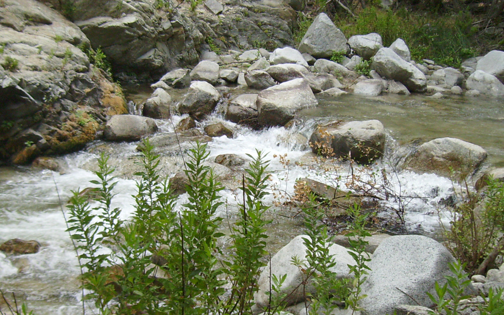IMGP0214