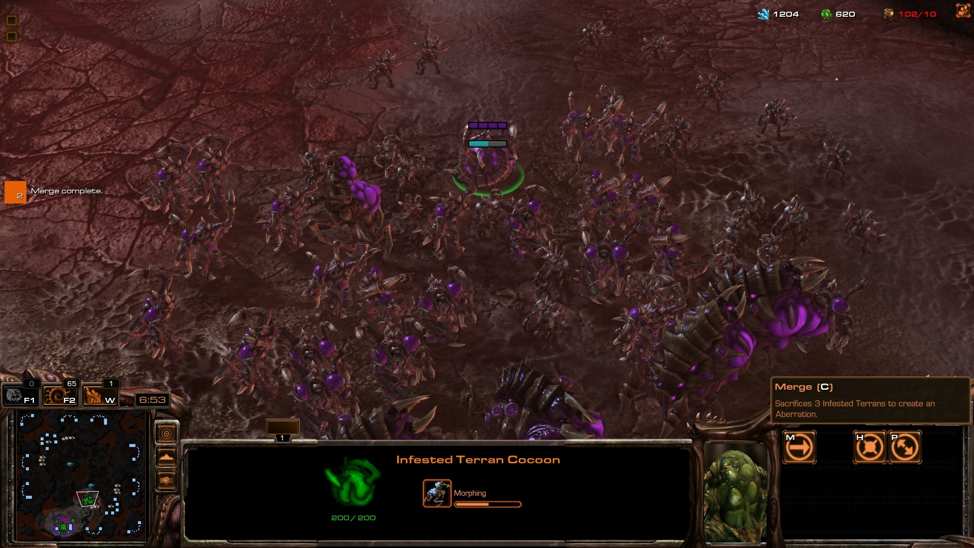 Infested Terrans Merging