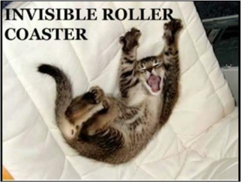 invisible roller coaster