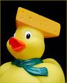 Its a duck... with cheese on it's head?